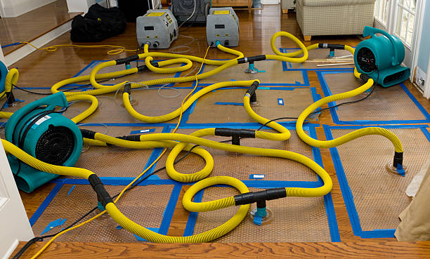 Professional Sewage Cleanup technician working in Lynnville, TN